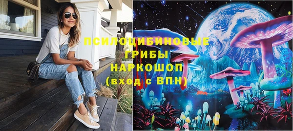 индика Наволоки