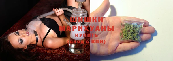 индика Наволоки