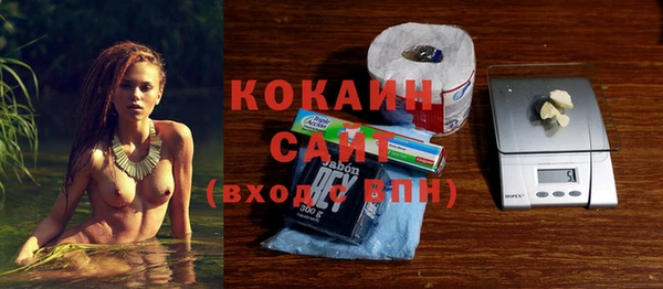 индика Наволоки