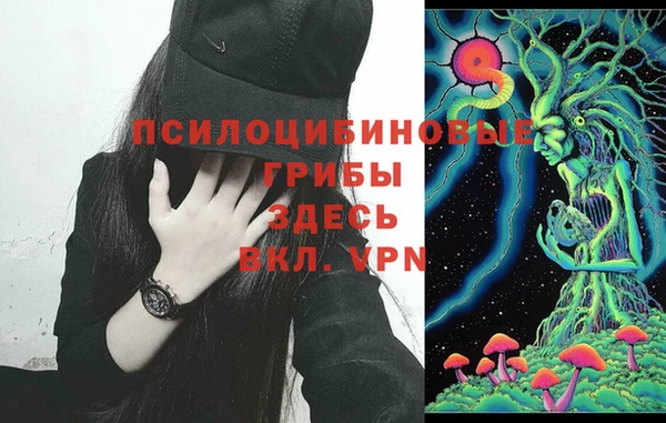 индика Наволоки
