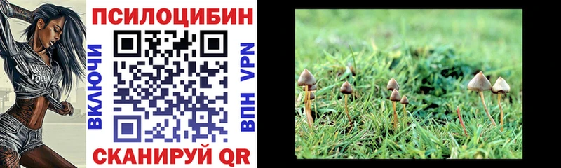 дарнет шоп  Усолье  Псилоцибиновые грибы GOLDEN TEACHER 